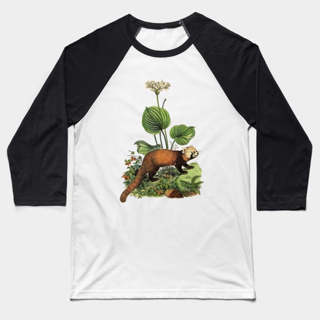 RED PANDA Illustration Baseball T-Shirt by Biophilia